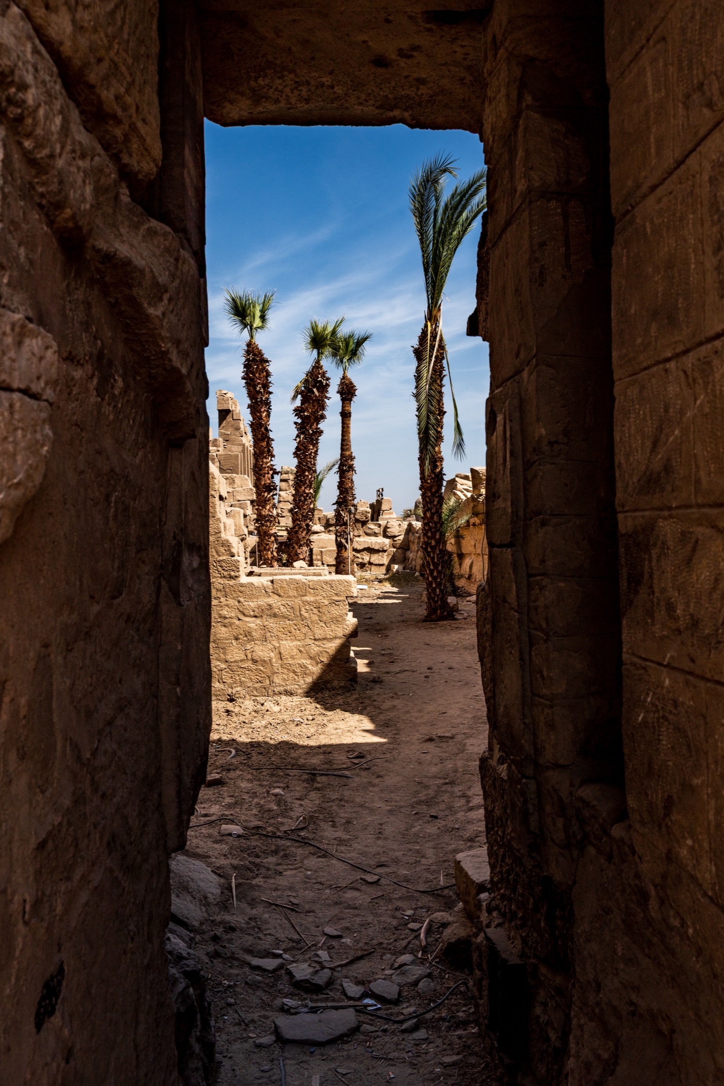 Karnak temple doorway with palm trees