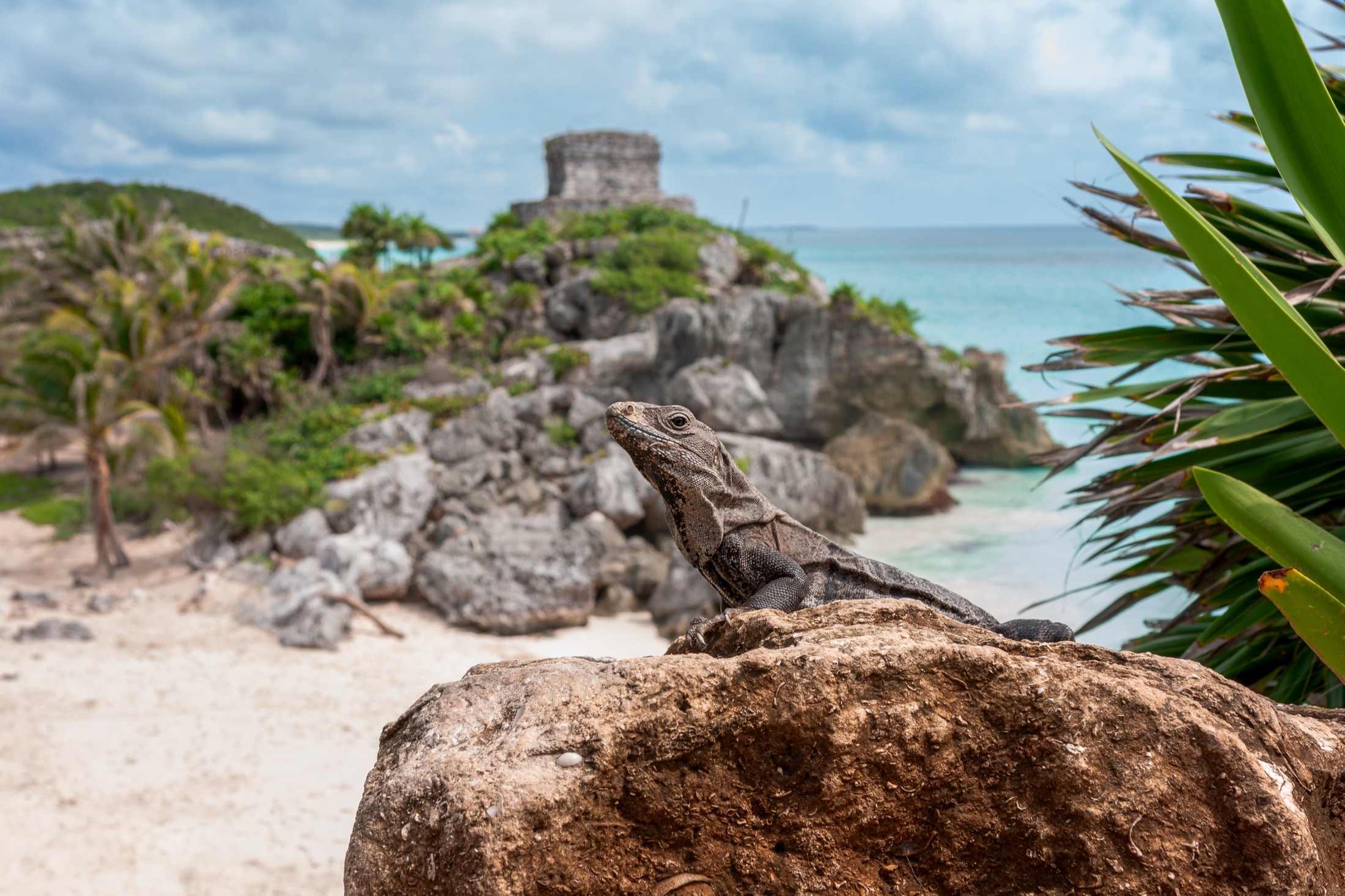 Tulum ruins on a cliff above turquoise ocean