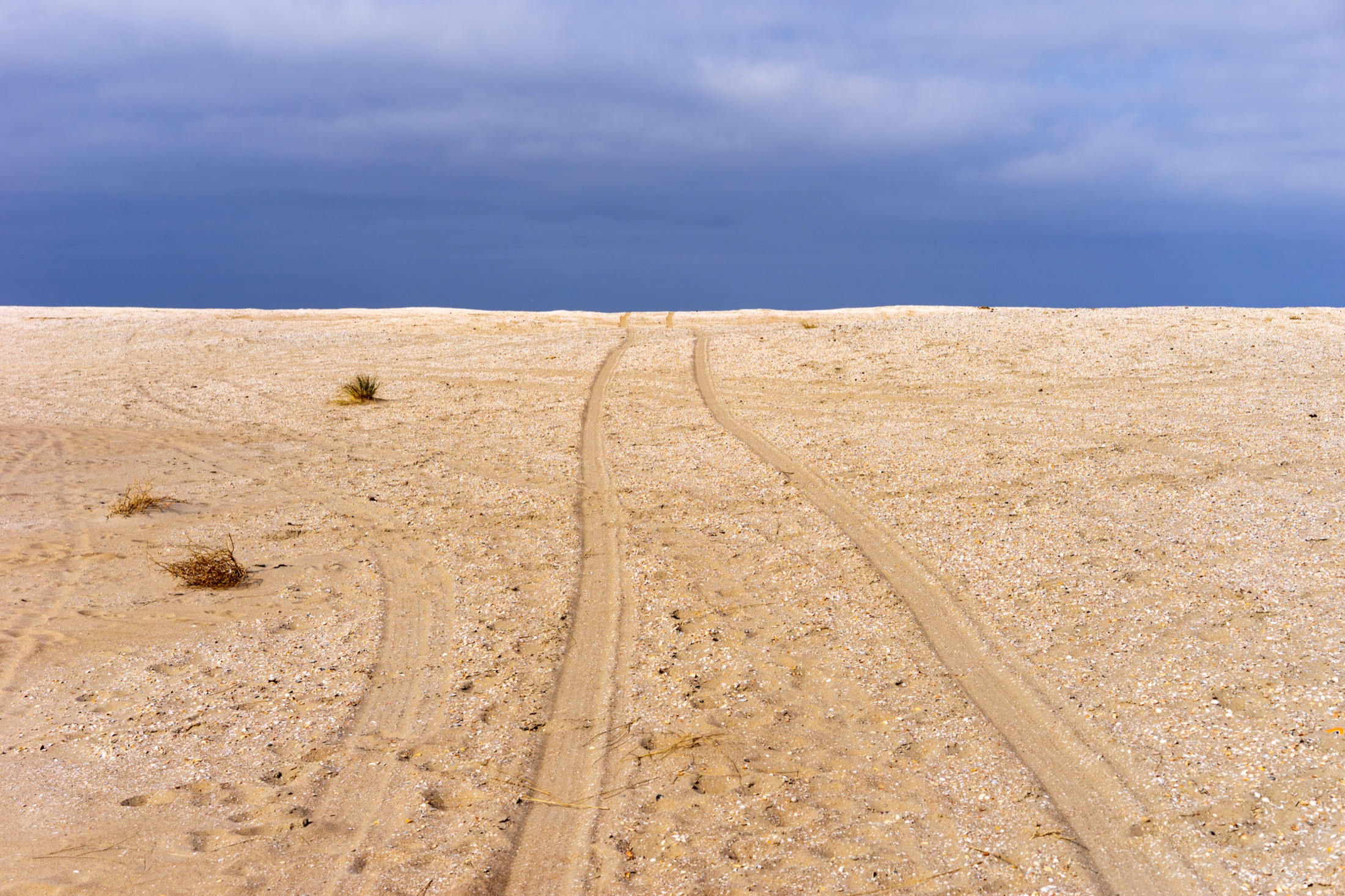 Parallel tracks across a flat sand surface