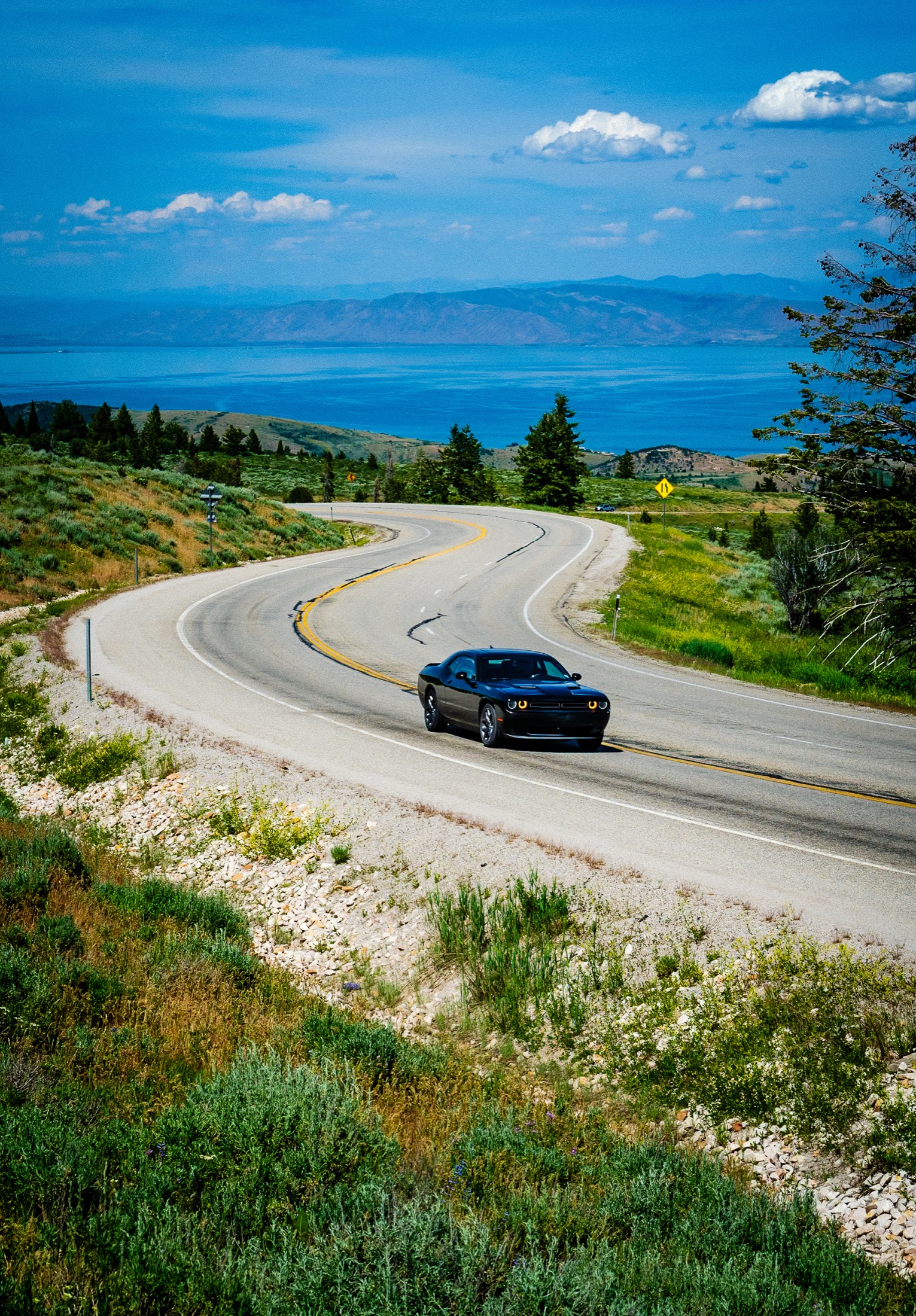 Muscle car on a winding desert road